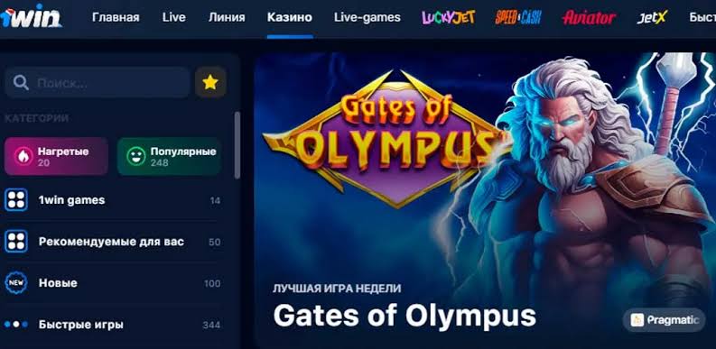 1Win Live Gambling Enterprise